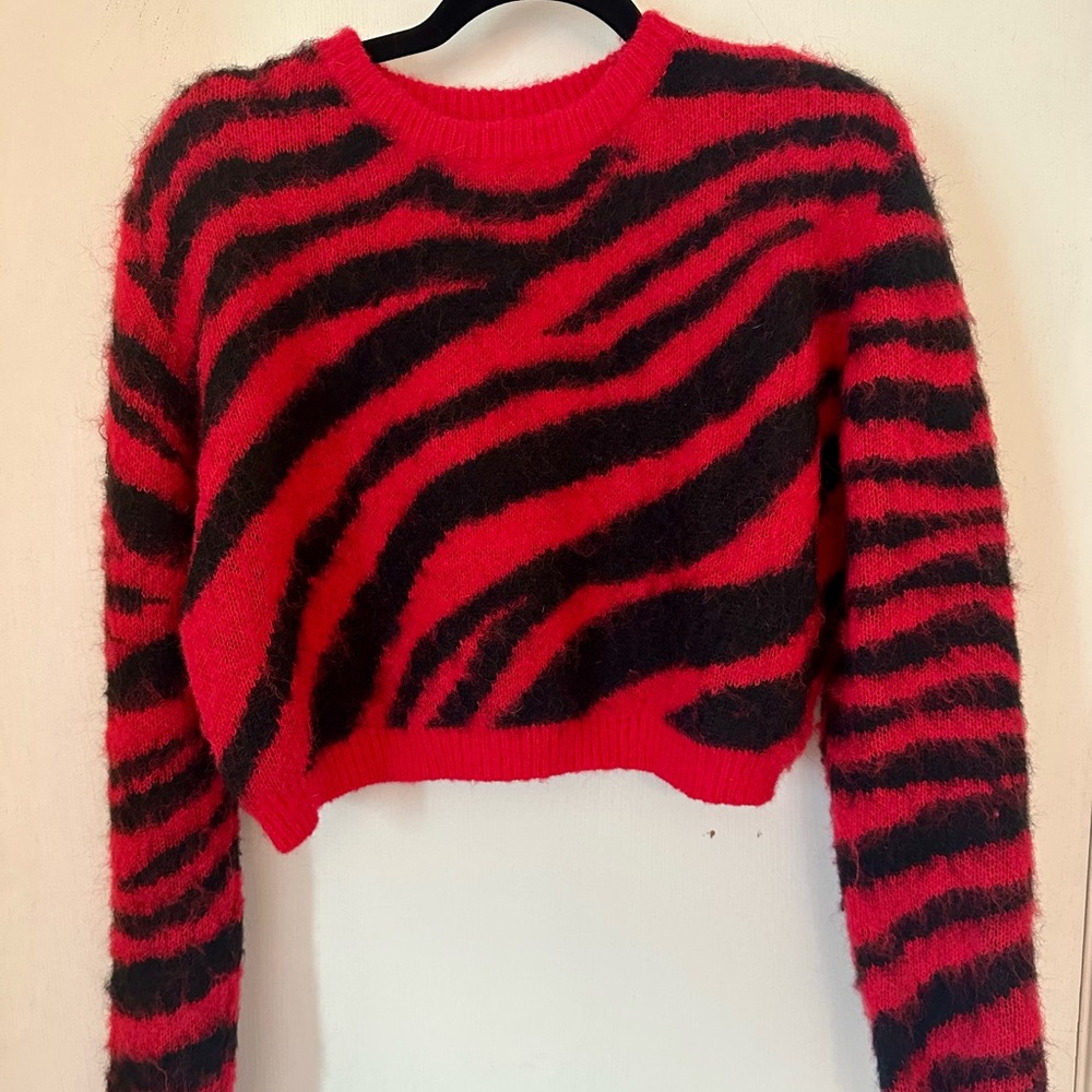 Cider Red and Black Zebra Stripe Cropped Sweater